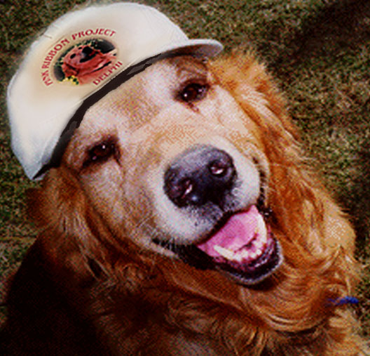 chipper cap